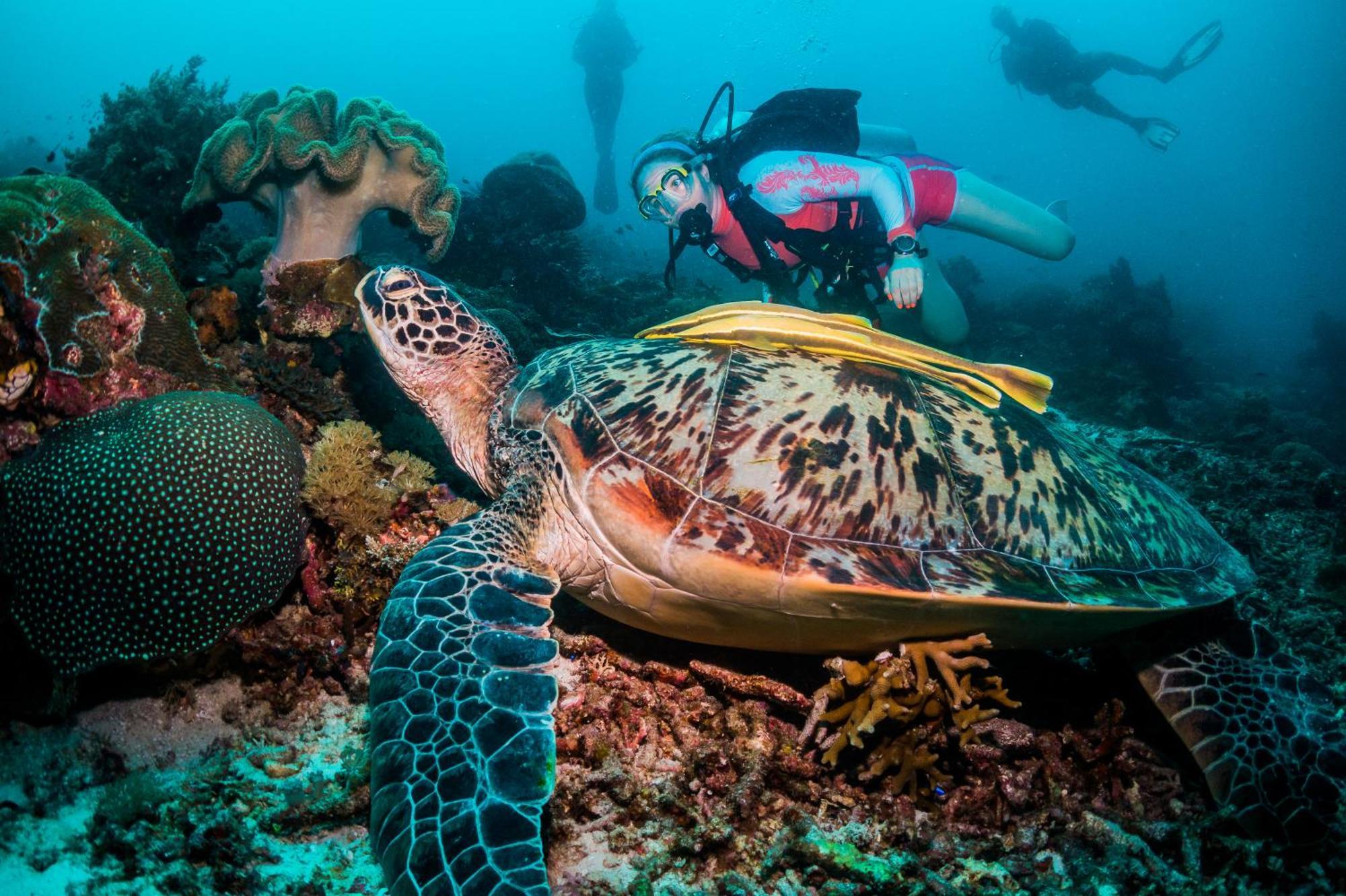 Scuba Republic Beach Bungalows Tapokreng Eksteriør billede